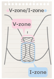 what's I-line/V-zone