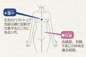セルフマッサージのポイント。膻中と任脈の説明。膻中は左右のバストトップを結ぶ線と任脈が交差するところにあるツボです。任脈は会陰部、お腹、下あごの中央を通る経路です。