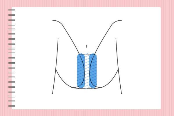 VIOとは?V I Oどこ?VIOの場所や意味を教えて!VIOのIとは 女(イラスト図)2026年版、女性のIラインの場所